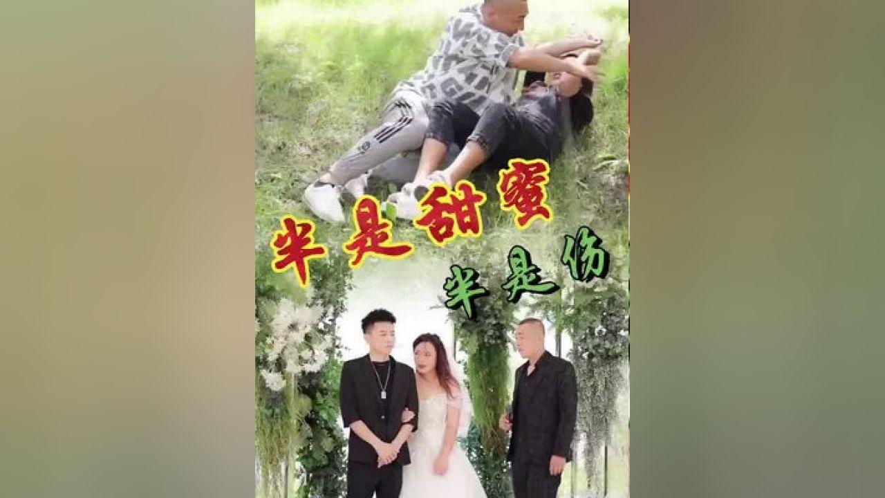 拯救精灵的土地7
