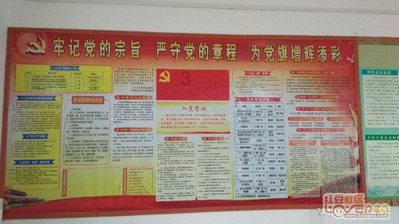 道奇蝰蛇找不同