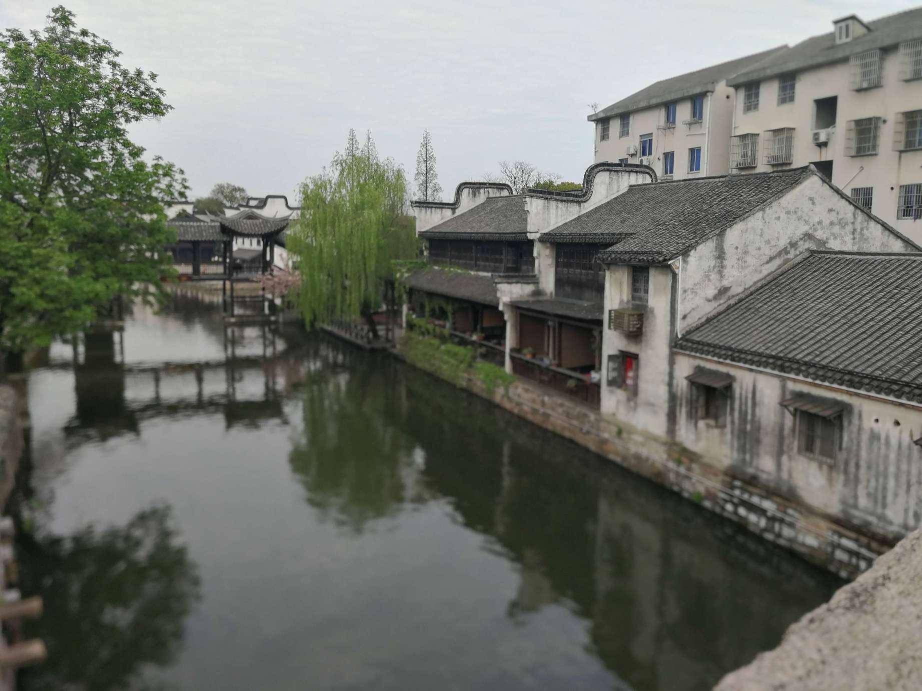 婚姻大事应该由父母做主吗？游戏画面